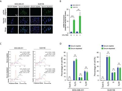 Growth-promoting function of the cGAS-STING pathway in triple-negative breast cancer cells